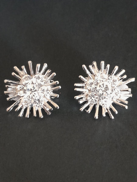 Radient Sparkle Diamante Clip On