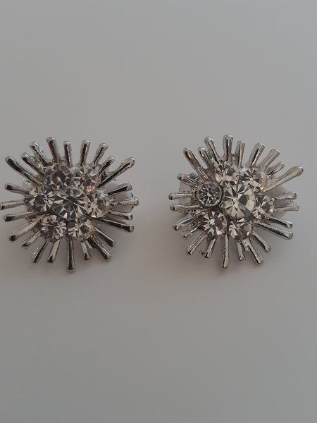 Radient Sparkle Diamante Clip On